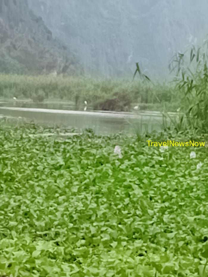 Most popular bird watching sites in Vietnam, Vietnam