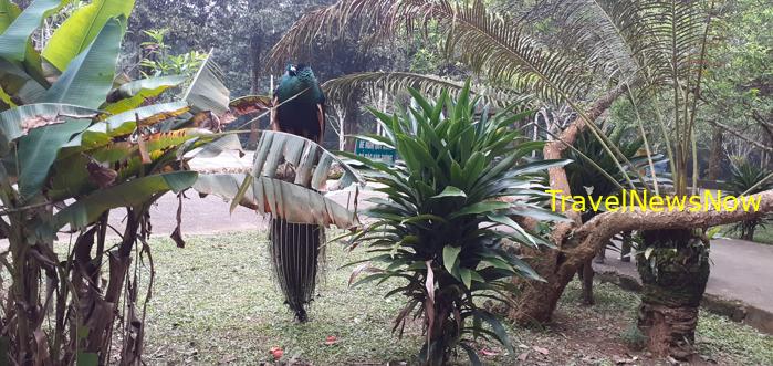 Most popular bird watching sites in Vietnam, Vietnam