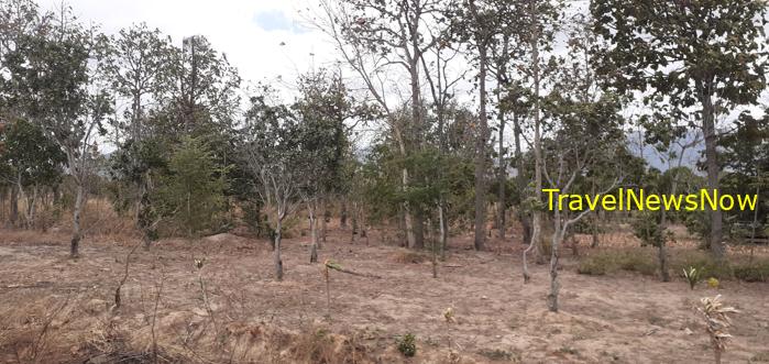 Travel guide to Dak Lak Province, Vietnam