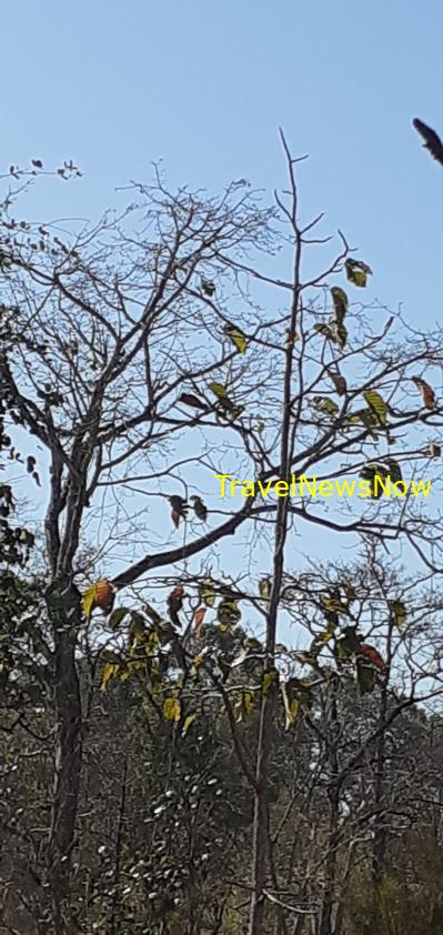 Travel guide to Dak Lak Province, Vietnam