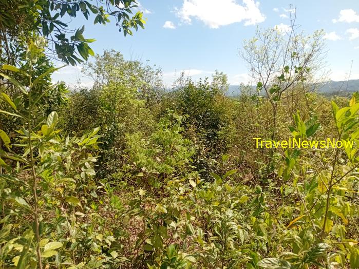 Things to do in the sites of the battle of Dien Bien Phu, Vietnam Things to do in the sites of the battle of Dien Bien Phu, Vietnam