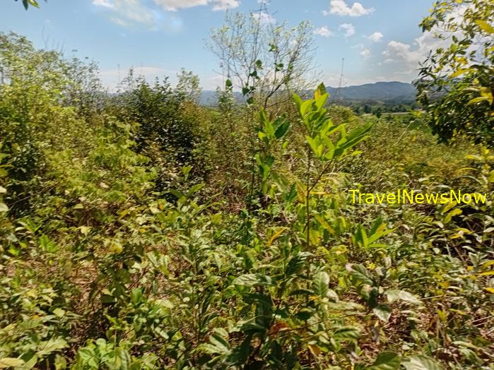 Things to do in the sites of the battle of Dien Bien Phu, Vietnam Things to do in the sites of the battle of Dien Bien Phu, Vietnam