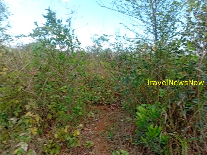 Things to do in the sites of the battle of Dien Bien Phu, Vietnam Things to do in the sites of the battle of Dien Bien Phu, Vietnam