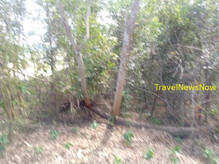 Things to do in the sites of the battle of Dien Bien Phu, Vietnam Things to do in the sites of the battle of Dien Bien Phu, Vietnam
