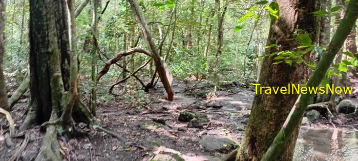 Birding at the Nam Cat Tien National Park in Vietnam Birding at the Nam Cat Tien National Park in Vietnam