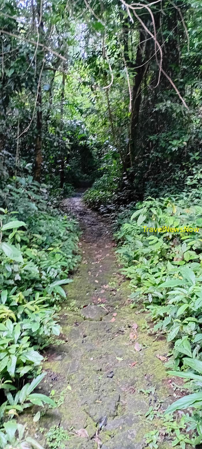 Birding at the Nam Cat Tien National Park in Vietnam Birding at the Nam Cat Tien National Park in Vietnam