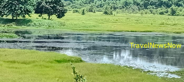 Birding at the Nam Cat Tien National Park in Vietnam Birding at the Nam Cat Tien National Park in Vietnam