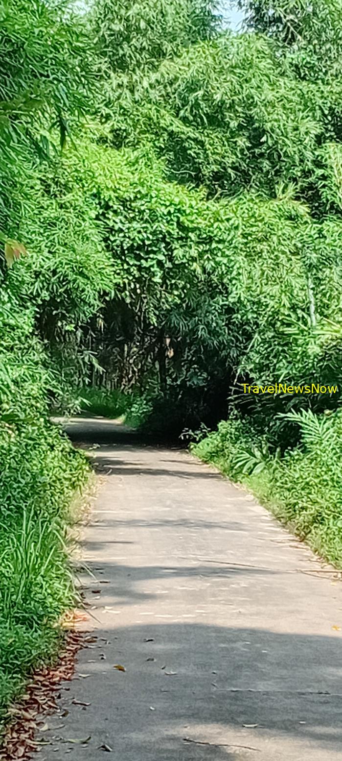 Birding at the Nam Cat Tien National Park in Vietnam Birding at the Nam Cat Tien National Park in Vietnam