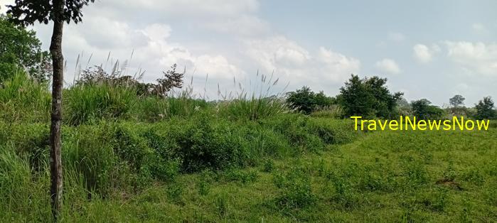 Birding at the Nam Cat Tien National Park in Vietnam Birding at the Nam Cat Tien National Park in Vietnam