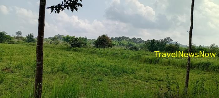 Birding at the Nam Cat Tien National Park in Vietnam Birding at the Nam Cat Tien National Park in Vietnam