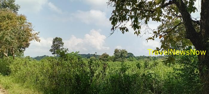Birding at the Nam Cat Tien National Park in Vietnam Birding at the Nam Cat Tien National Park in Vietnam