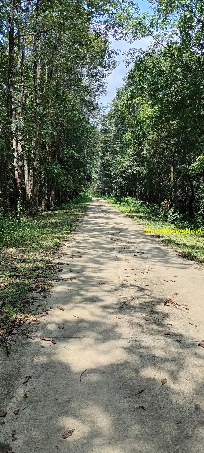 Birding at the Nam Cat Tien National Park in Vietnam Birding at the Nam Cat Tien National Park in Vietnam