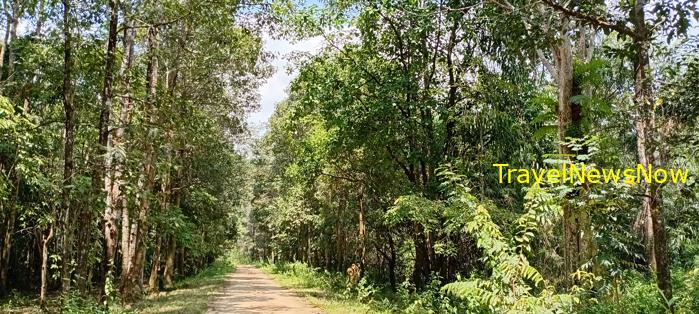 Birding at the Nam Cat Tien National Park in Vietnam Birding at the Nam Cat Tien National Park in Vietnam