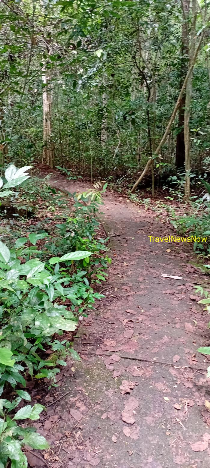 Birding at the Nam Cat Tien National Park in Vietnam Birding at the Nam Cat Tien National Park in Vietnam