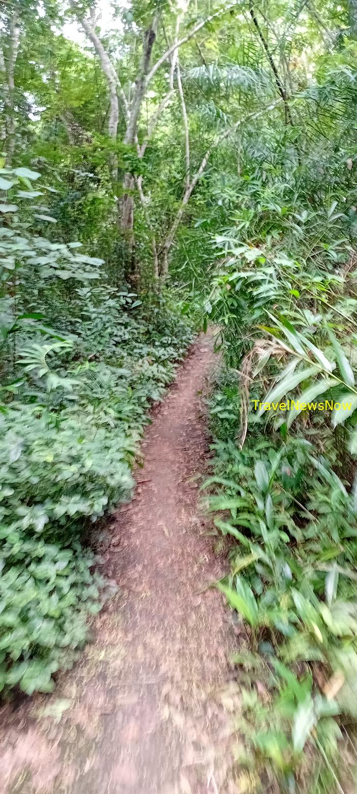 Birding at the Nam Cat Tien National Park in Vietnam Birding at the Nam Cat Tien National Park in Vietnam