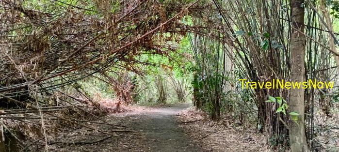 Birding at the Nam Cat Tien National Park in Vietnam Birding at the Nam Cat Tien National Park in Vietnam