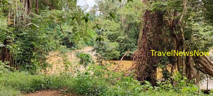 Birding at the Nam Cat Tien National Park in Vietnam Birding at the Nam Cat Tien National Park in Vietnam