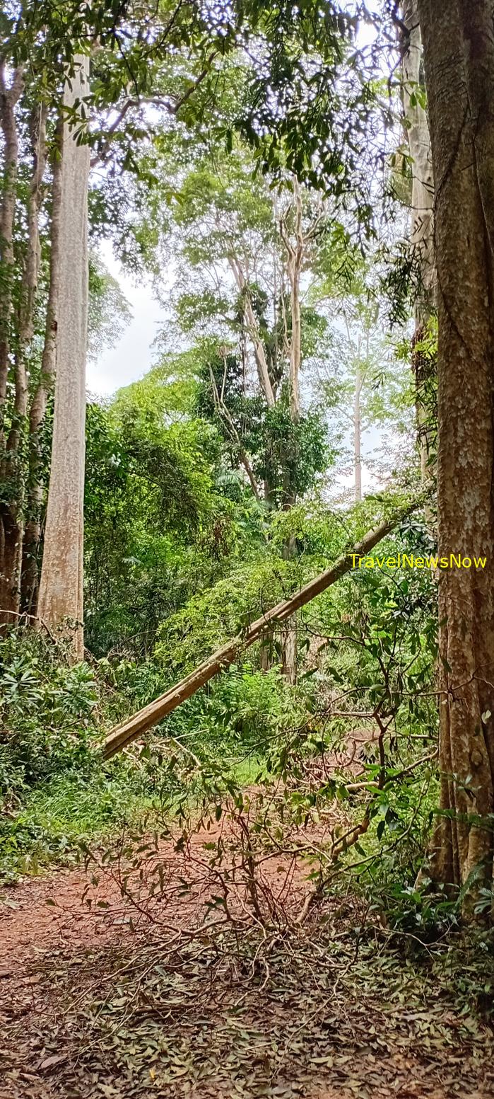 Birding at the Nam Cat Tien National Park in Vietnam Birding at the Nam Cat Tien National Park in Vietnam