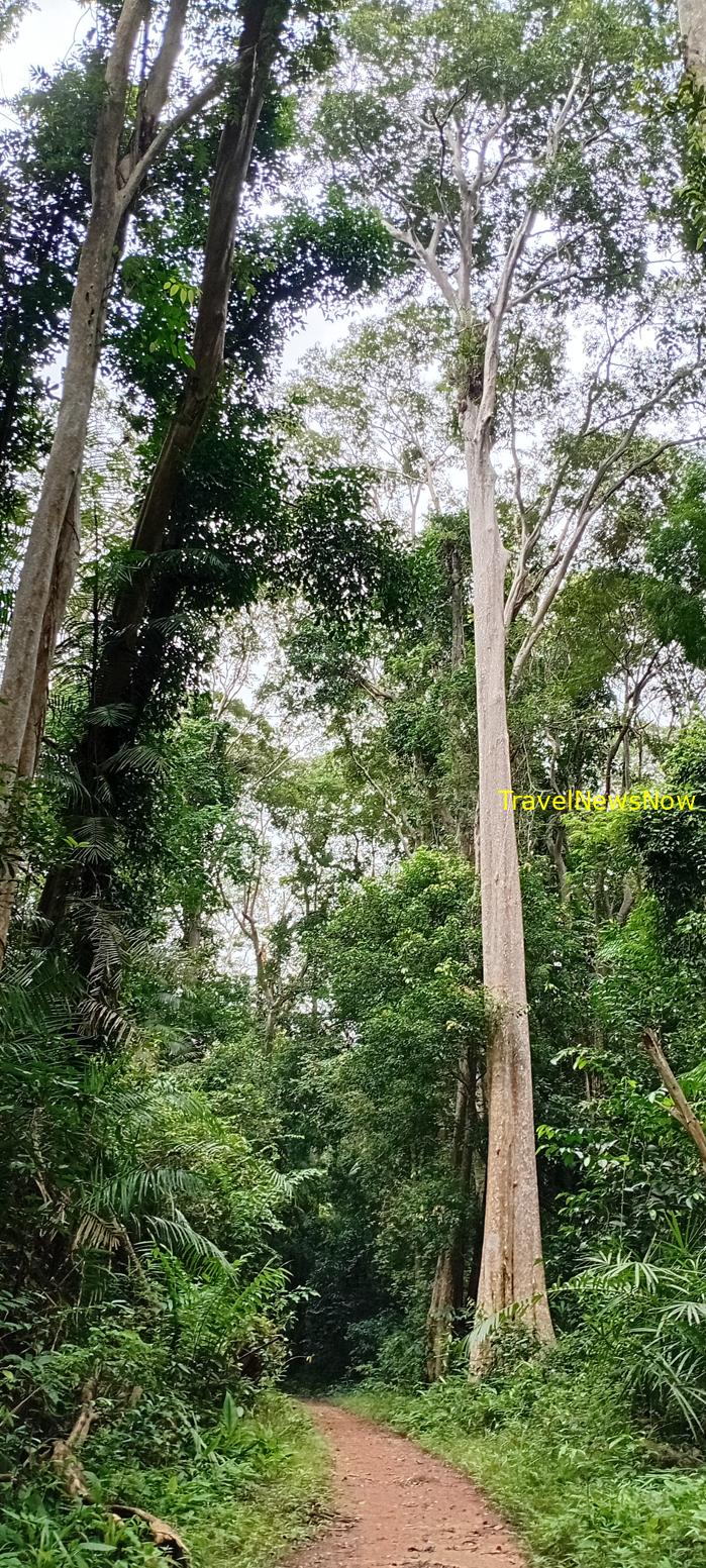 Birding at the Nam Cat Tien National Park in Vietnam Birding at the Nam Cat Tien National Park in Vietnam