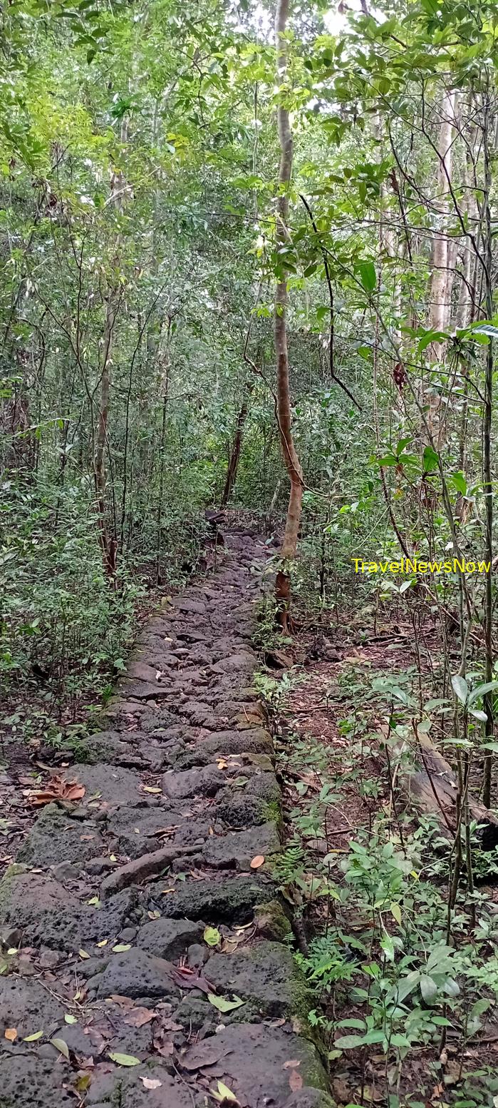 Birding at the Nam Cat Tien National Park in Vietnam Birding at the Nam Cat Tien National Park in Vietnam