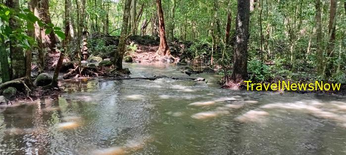 Birding at the Nam Cat Tien National Park in Vietnam Birding at the Nam Cat Tien National Park in Vietnam