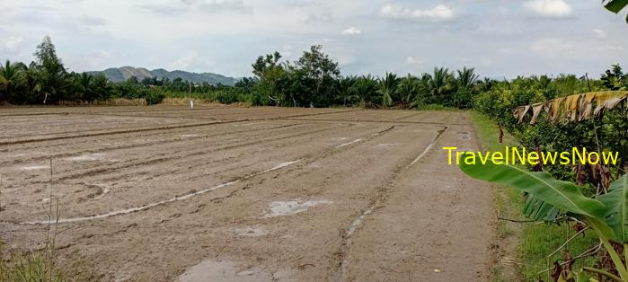 Travel guide to Dong Nai, Vietnam Travel guide to Dong Nai, Vietnam