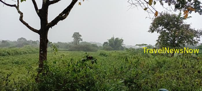 Travel guide to Dong Nai, Vietnam Travel guide to Dong Nai, Vietnam