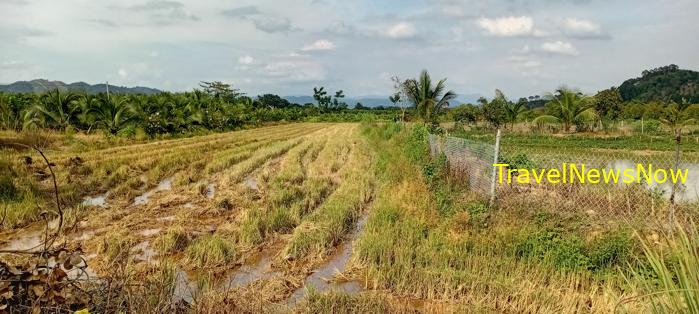 Travel guide to Dong Nai, Vietnam Travel guide to Dong Nai, Vietnam