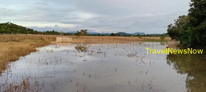 Travel guide to Dong Nai, Vietnam Travel guide to Dong Nai, Vietnam