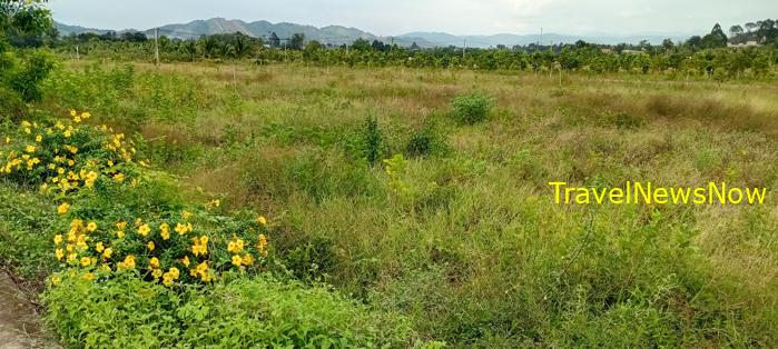 Travel guide to Dong Nai, Vietnam Travel guide to Dong Nai, Vietnam