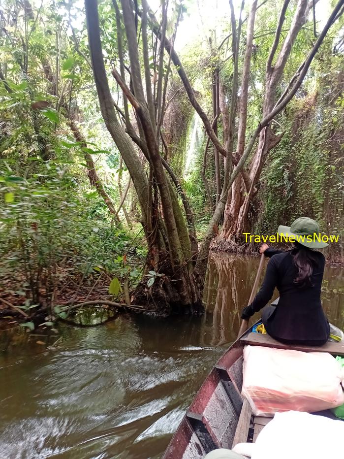 Travel guide to Dong Thap, Vietnam