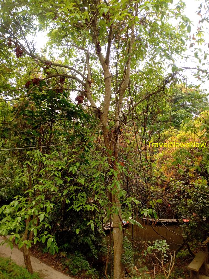 Travel guide to Dong Thap, Vietnam