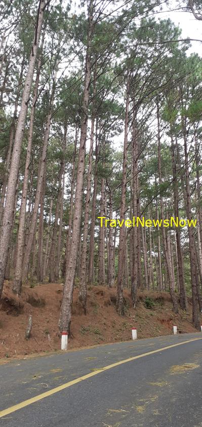 Travel guide to Da Lat, Vietnam Travel guide to Da Lat, Vietnam