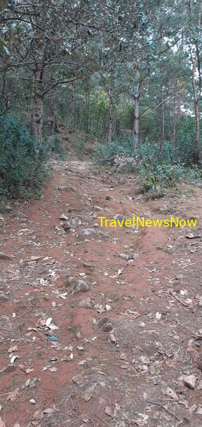 Travel guide to Da Lat, Vietnam Travel guide to Da Lat, Vietnam
