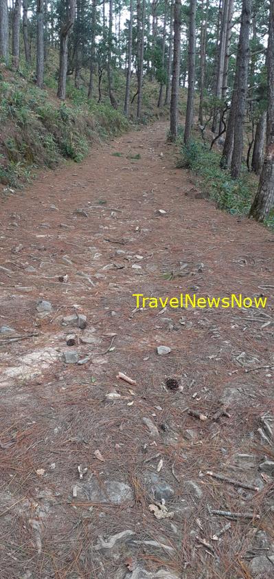 Travel guide to Da Lat, Vietnam Travel guide to Da Lat, Vietnam