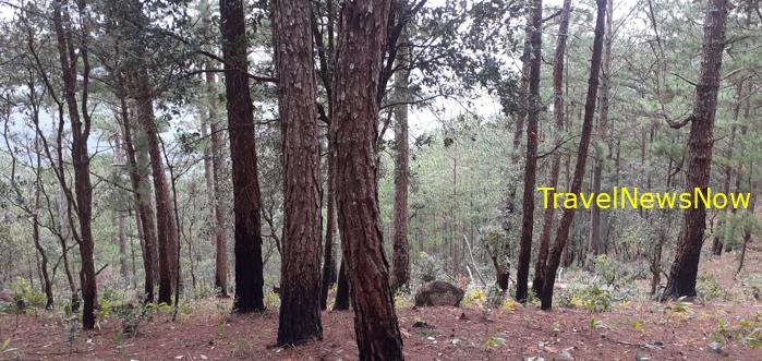 Travel guide to Da Lat, Vietnam Travel guide to Da Lat, Vietnam
