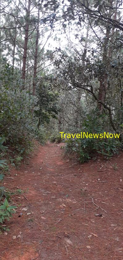 Travel guide to Da Lat, Vietnam Travel guide to Da Lat, Vietnam