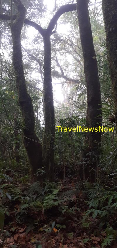Travel guide to Da Lat, Vietnam Travel guide to Da Lat, Vietnam