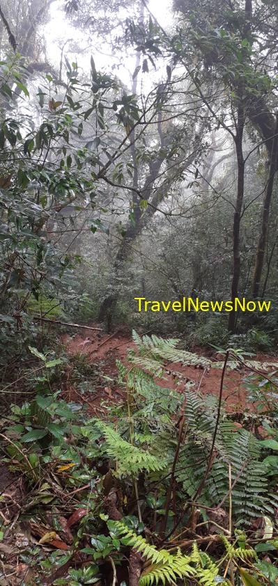 Travel guide to Da Lat, Vietnam Travel guide to Da Lat, Vietnam