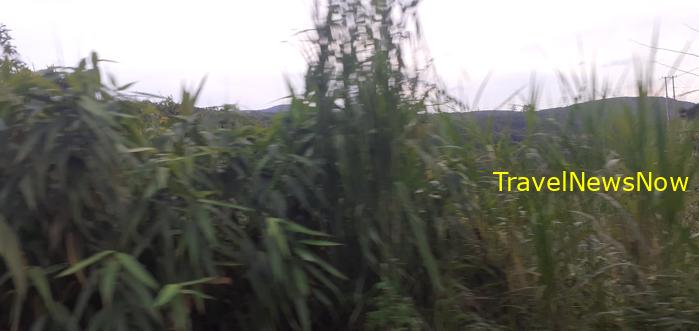 Travel guide to Da Lat, Vietnam Travel guide to Da Lat, Vietnam