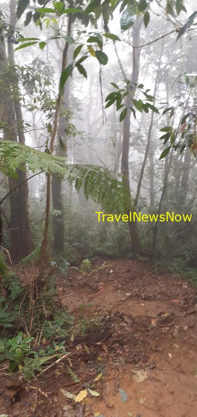 Travel guide to Da Lat, Vietnam Travel guide to Da Lat, Vietnam