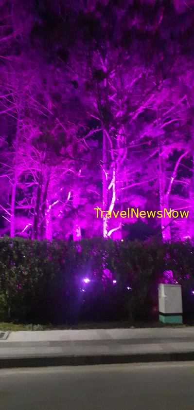 Travel guide to Da Lat, Vietnam Travel guide to Da Lat, Vietnam