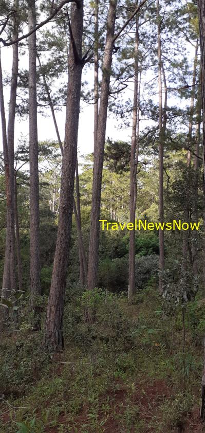 Travel guide to Lam Dong Province, Vietnam Travel guide to Lam Dong Province, Vietnam