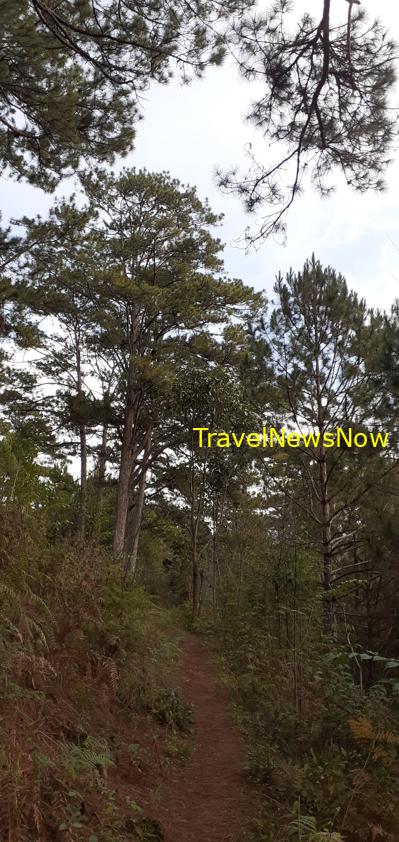 Travel guide to Lam Dong Province, Vietnam Travel guide to Lam Dong Province, Vietnam