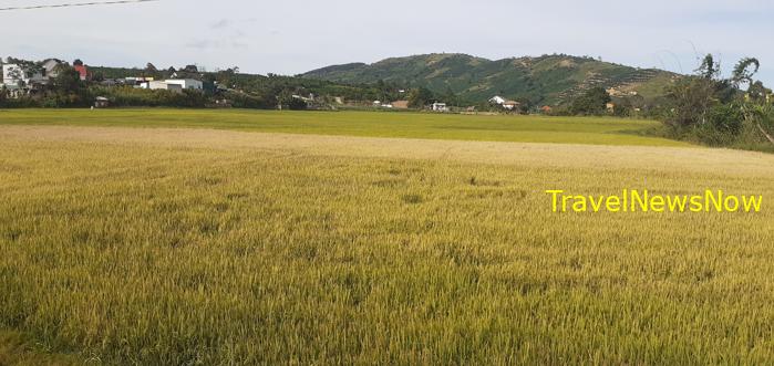 Travel guide to Lam Dong Province, Vietnam Travel guide to Lam Dong Province, Vietnam