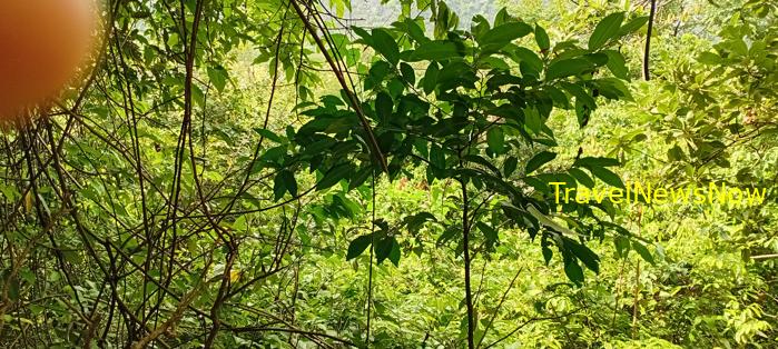 A travel guide to Hoa Lu, Ninh Binh, Vietnam