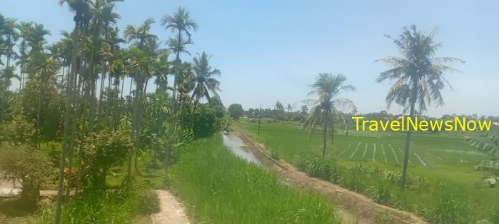 Travel guide to Quang Ngai, Vietnam