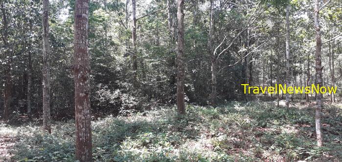 Travel guide to Cu Chi Tunnels, Vietnam