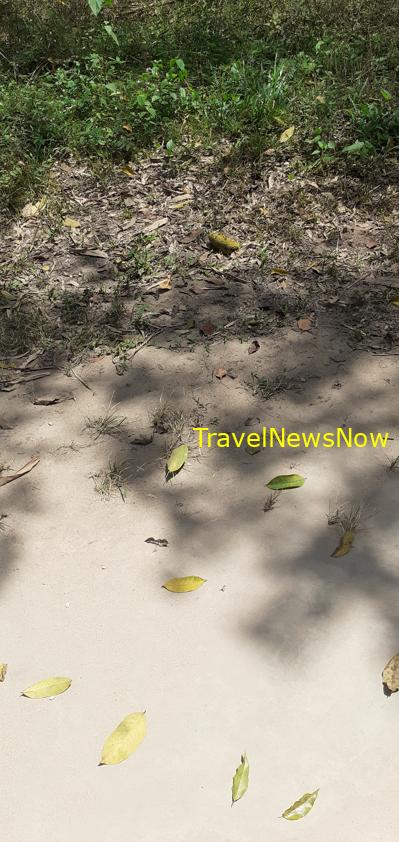 Travel guide to Cu Chi Tunnels, Vietnam