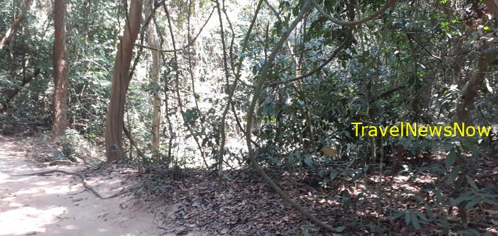 Travel guide to Cu Chi Tunnels, Vietnam